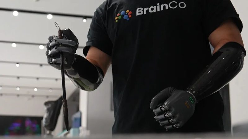 科技服务供应商招标：关键要素与评估标准**