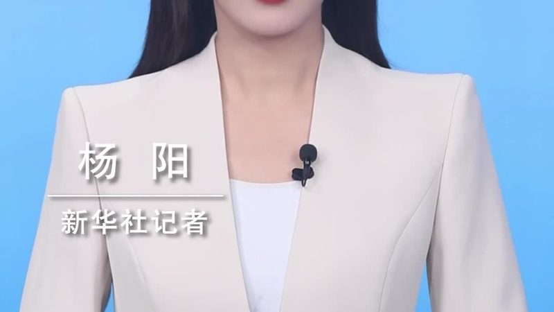 软件定制开发参数配置：关键因素与优化策略**